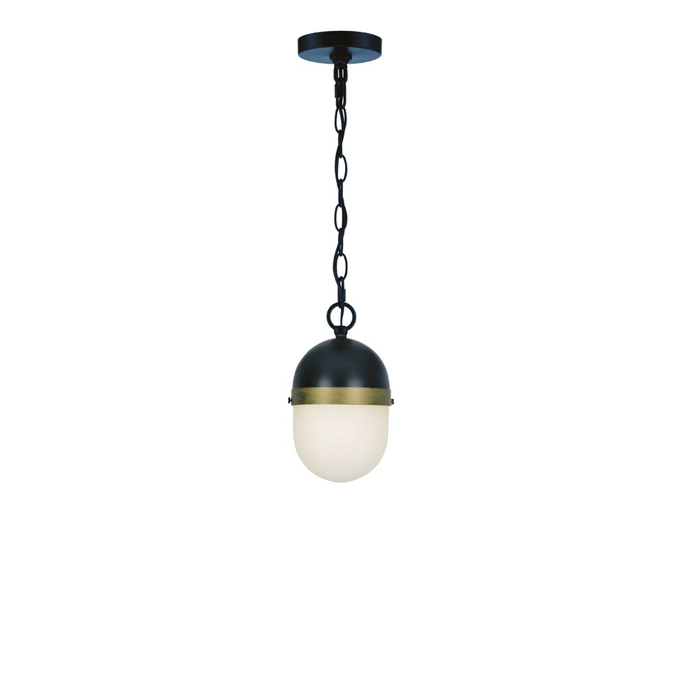 Crystorama Brian Patrick Flynn for Crystorama Capsule 1 Light Matte Black  plus  Textured Gold Outdoor Pendant
