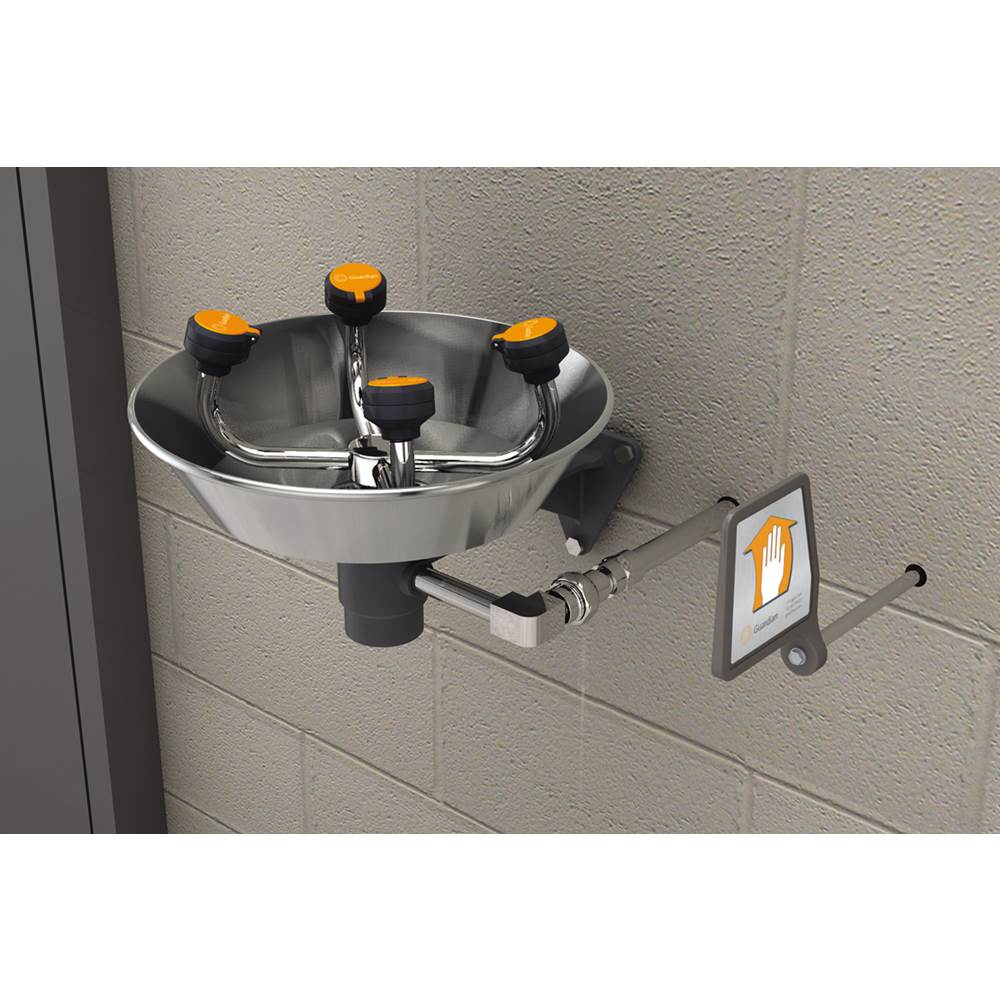 Guardian Equipment Freeze-Resistant WideArea Eye-Face Wash, Wall Mounted, Stainless Steel Bowl