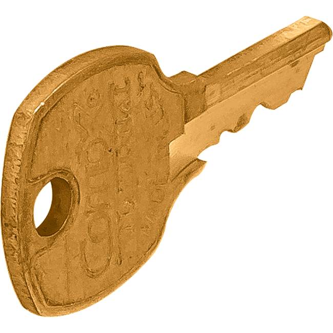 Hafele Master Key Brass For Disk Cylinder E41A