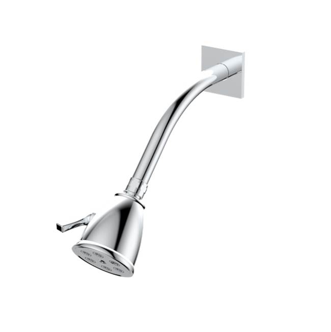Santec Standard 6 Port Showerhead with Arm and Flange