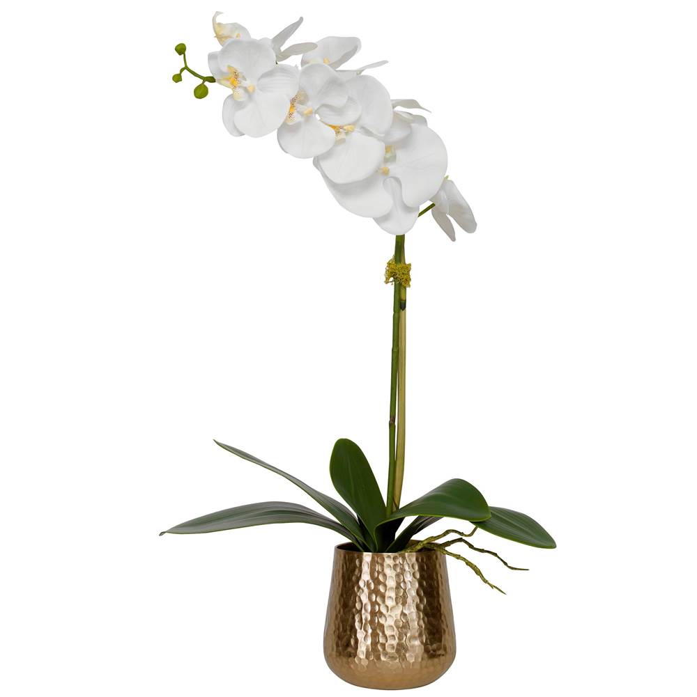 Uttermost Uttermost Cami Orchid With Brass Pot